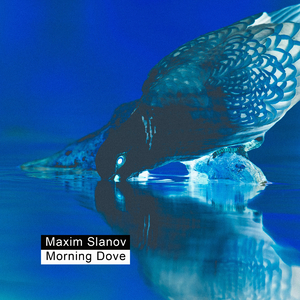 青春期的好奇心健太和小花第二集
