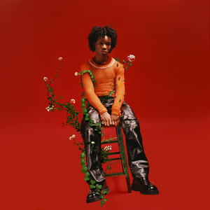 青春期的好奇心健太和小花第二集
