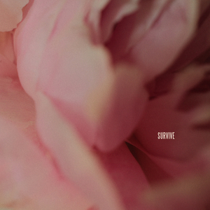 青春期的好奇心健太和小花第二集
